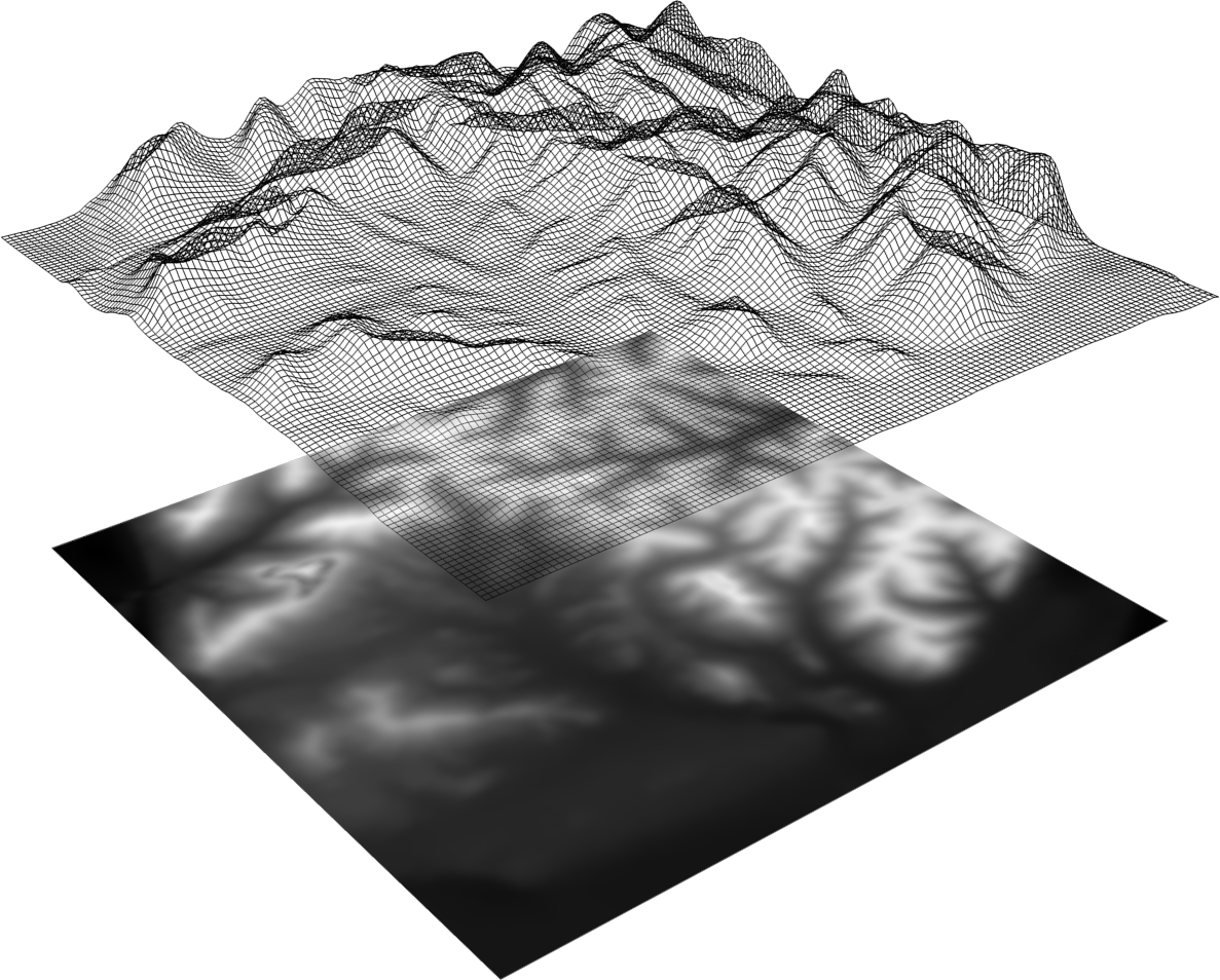 A 2D heightmap drawn as a black and white mesh